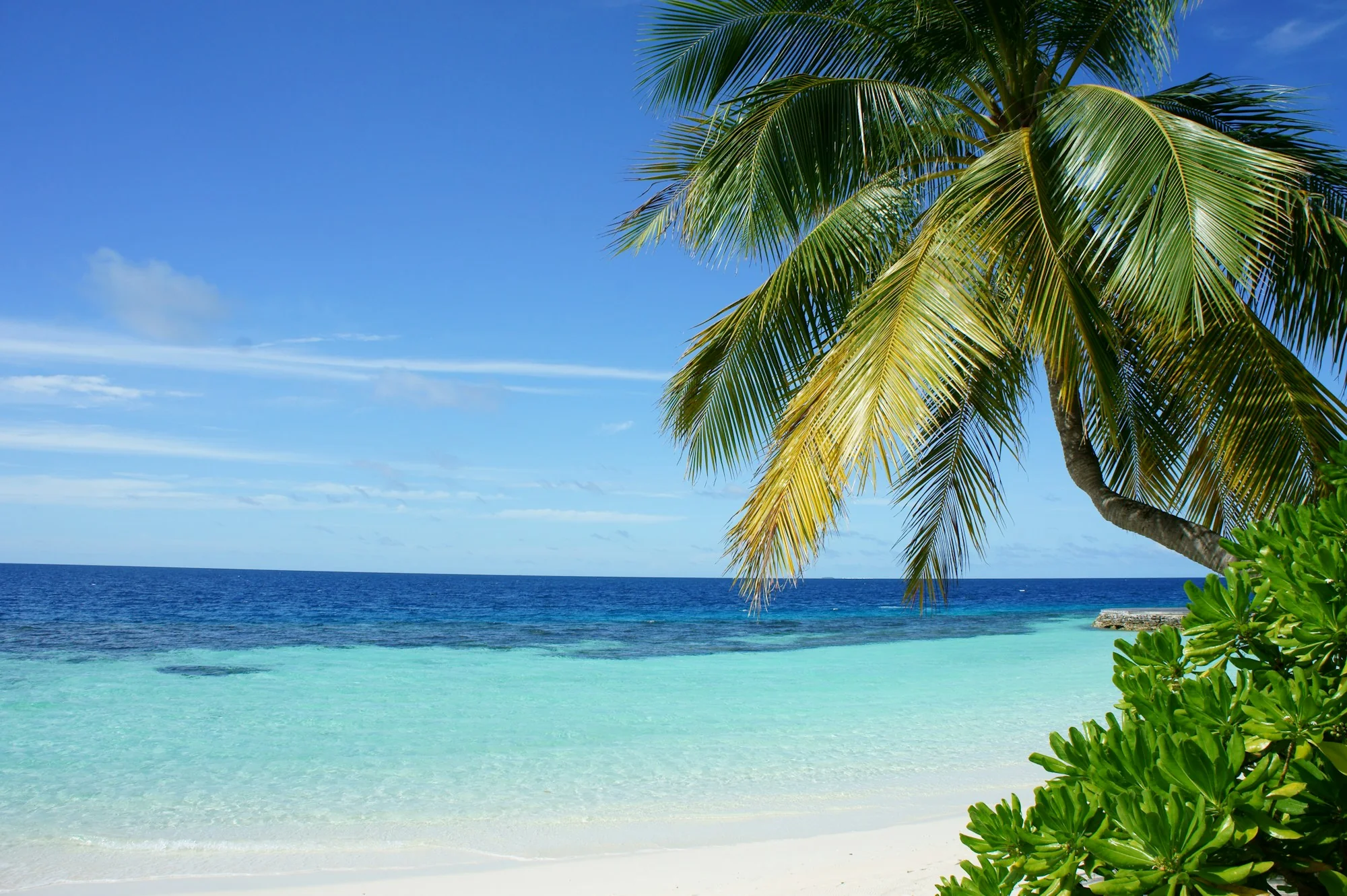 Côte Tropicale Cristalline